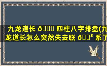九龙道长 🍁 四柱八字排盘(九龙道长怎么突然失去联 🌳 系了)